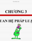 Bài giảng Pháp luật đại cương - Chương 3: Quan hệ pháp luật