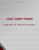 Bài giảng Luật cạnh tranh: Bài 2 - TS. Trần Thị Thu Phương