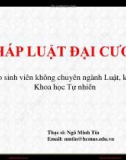 Bài giảng Pháp luật đại cương: Bài 9 - ThS. Ngô Minh Tín