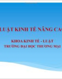 Bài giảng Luật kinh tế nâng cao