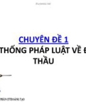 Bài giảng Chuyên đề 1: Hệ thống pháp luật về đấu thầu