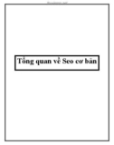 Tổng quan về Seo cơ bản