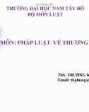 Bài giảng Pháp luật về thương mại điện tử: Chương 1 - ThS. Trương Kim Phụng