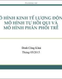 Bài giảng Mô hình kinh tế lượng động: Mô hình tự hồi quy và mô hình phân phối trễ - Đinh Công Khải