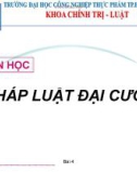 Bài giảng Pháp luật đại cương (General law) - Bài 4: Thực hiện pháp luật, vi phạm pháp luật, trách nhiệm pháp lý