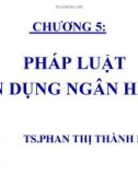 Bài giảng Pháp luật ngân hàng: Chương 5 - TS. Phan Thị Thành Dương