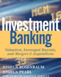 Ebook Investment banking: Valuation, leveraged buyouts, and mergers and acquisitions - Part 1