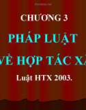 Bài giảng hay về luật kinh doanh - Trường ĐH Công Nghiệp Tp.HCM - Chương 3