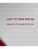 Bài giảng Luật tố tụng Dân sự: Bài 7 - TS. Nguyễn Thị Thu Hà