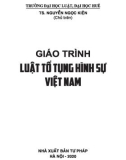 Giáo trình Luật Tố tụng hình sự Việt Nam: Phần 1