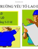 Bài giảng Kinh tế vi mô: Chương 6 - TS. Nguyễn Thị Thu