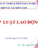 Bài giảng Pháp luật lao động – ThS. Nguyễn Minh Hằng