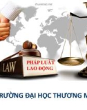 Bài giảng Pháp luật lao động