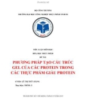 Bài tiểu luận: Phương pháp tạo cấu trúc gel của các protein trong các thực phẩm giàu protein