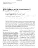 Báo cáo hóa học: Research Article Blind CP-OFDM and ZP-OFDM Parameter Estimation in Frequency Selective Channels