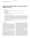 Báo cáo hóa học: Adaptive Zero-Padding OFDM over Frequency-Selective Multipath Channels