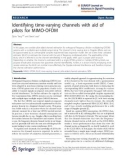 Báo cáo hóa học: Identifying time-varying channels with aid of pilots for MIMO-OFDM