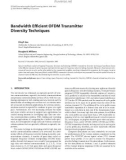 Báo cáo hóa học: Bandwidth Efﬁcient OFDM Transmitter Diversity Techniques