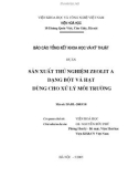 Báo cáo dự án - Sản xuất thử nghiệm zeolit A dạng bột và hạt dùng cho xử lý môi trường part 1