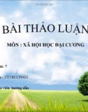 Bài thuyết trình: Xã hội học đô thị, nghiên cứu về vấn đề ách tắc giao thông của các thành phố lớn của Việt Nam hiện nay