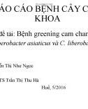 Bài báo cáo bệnh cây chuyên khoa: Bệnh greening cam chanh do Candidatus liberobacter asiaticus và C. liberobacter africanus