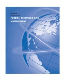 Ebook Multinational financial management (Tenth edition): Part 2