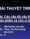 Bài thuyết trình đề tài: Các cấp độ cấu thành sản phẩm và cho ví dụ