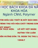 Báo cáo: Tìm hiểu các thiết bị đốt dịch đen của quá trình thu hồi hóa chất trong sản xuất bột Kraft