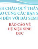 Báo cáo về hệ niệu sinh dục