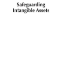 Ebook Safeguarding intangible assets - Michael D. Moberly