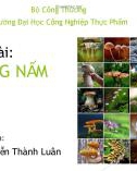 Bài thuyết trình: Đa dạng nấm