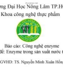 Bài thuyết trình: Enzyme trong sản xuất nước táo ép