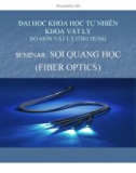 Bài thuyết trình Sợi quang học (Fiber Optics)