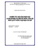 Luận văn Thạc sĩ Sinh học: Nghiên cứu khả năng phân giải Cacbuahydro của một số chủng nấm sợi phân lập từ rừng ngập mặn Cần Giờ