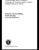 Ebook Technology and finance: Challenges for financial markets, business strategies and policy makers - Morten Balling, Frank Lierman