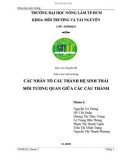 Báo cáo chuyên đề Khoa học môi trường: Các nhân tố cấu thành hệ sinh thái mối tương quan giữa các cấu thành