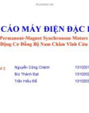 Báo cáo Máy điện đặc biệt