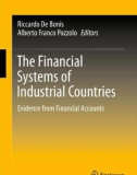 Ebook The financial systems of industrial countries: Evidence from financial accounts - Part 1