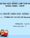 Tiểu luận: Tế bào gốc tạo máu và ứng dụng