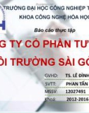 Báo cáo thực tập: Công ty cổ phần tư vấn môi trường Sài Gòn