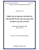 Tóm tắt Luận án Tiến sĩ Dược học: Nghiên cứu xây dựng quy trình pilot sản xuất sinh khối Bacillus spp. làm nguyên liệu probiotic cung cấp carotenoid