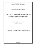 Tóm tắt luận án tiến sĩ Vật lý chất rắn: Chế tạo và tính chất quang phổ của vật liệu BaMgAl10O17: Eu2+, Mn2+