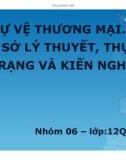 Tiểu luận: Tự vệ thương mại cơ sở lý thuyết, thực trạng và kiến nghị