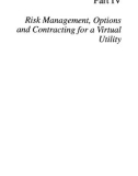 Ebook The virtual utility: Accounting, technology and competitive aspects of the emerging industry - Part 2