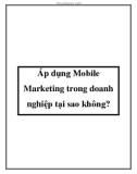 Áp dụng Mobile Marketing trong doanh nghiệp tại sao không?