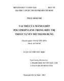 Luận án Tiến sỹ Y học: Vai trò của mảnh ghép polypropylene trong điều trị thoát vị vết mổ thành bụng