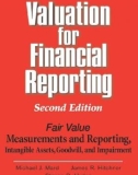 Ebook Valuation for financial reporting: The determination of fair value for audited intangible assets