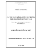 Luận văn Thạc sĩ Luật học: Các tội phạm xâm hại tình dục trẻ em trong luật hình sự Việt Nam