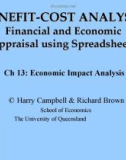 Economic Impact Analysis