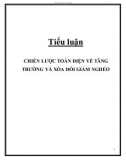 Tiểu luận: Chiến lược toàn diện về tăng trường và xóa đói giảm nghèo